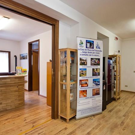 Casa Del Parco Dell'Adamello Di Vezza D'Oglio Vandrehjem Eksteriør billede