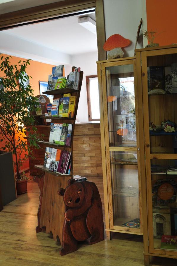 Casa Del Parco Dell'Adamello Di Vezza D'Oglio Vandrehjem Eksteriør billede