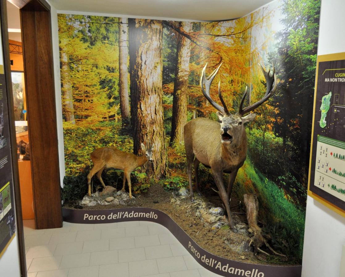 Casa Del Parco Dell'Adamello Di Vezza D'Oglio Vandrehjem Eksteriør billede